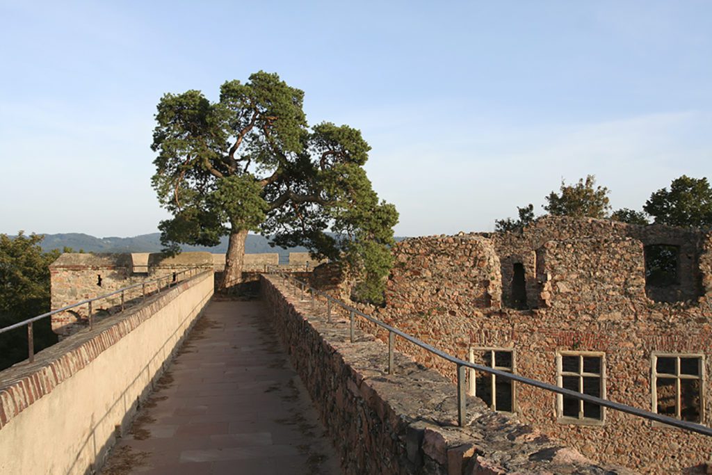 schloss-auerbach-location-bensheim-bergstraße-rhein-main-rittermahl